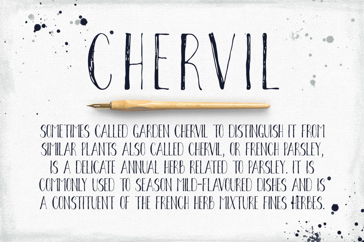 Chervil preview 2