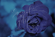 Virgita script, a Script Font by Letter-P (Thumbnail 3 of 10)