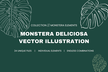 Monstera Deliciosa Illustrations