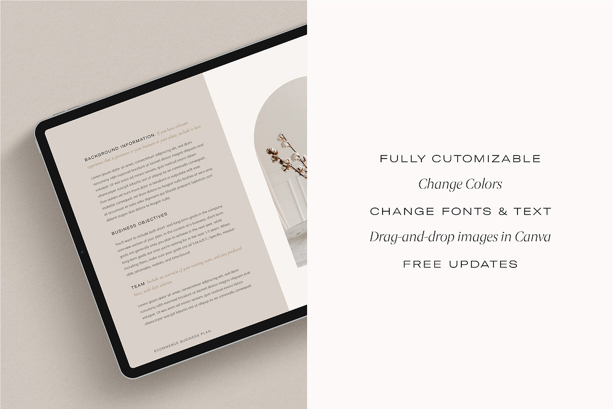 Ecommerce Business Plan, a Presentation Template by Wild Theory (Photo 5 of 10)