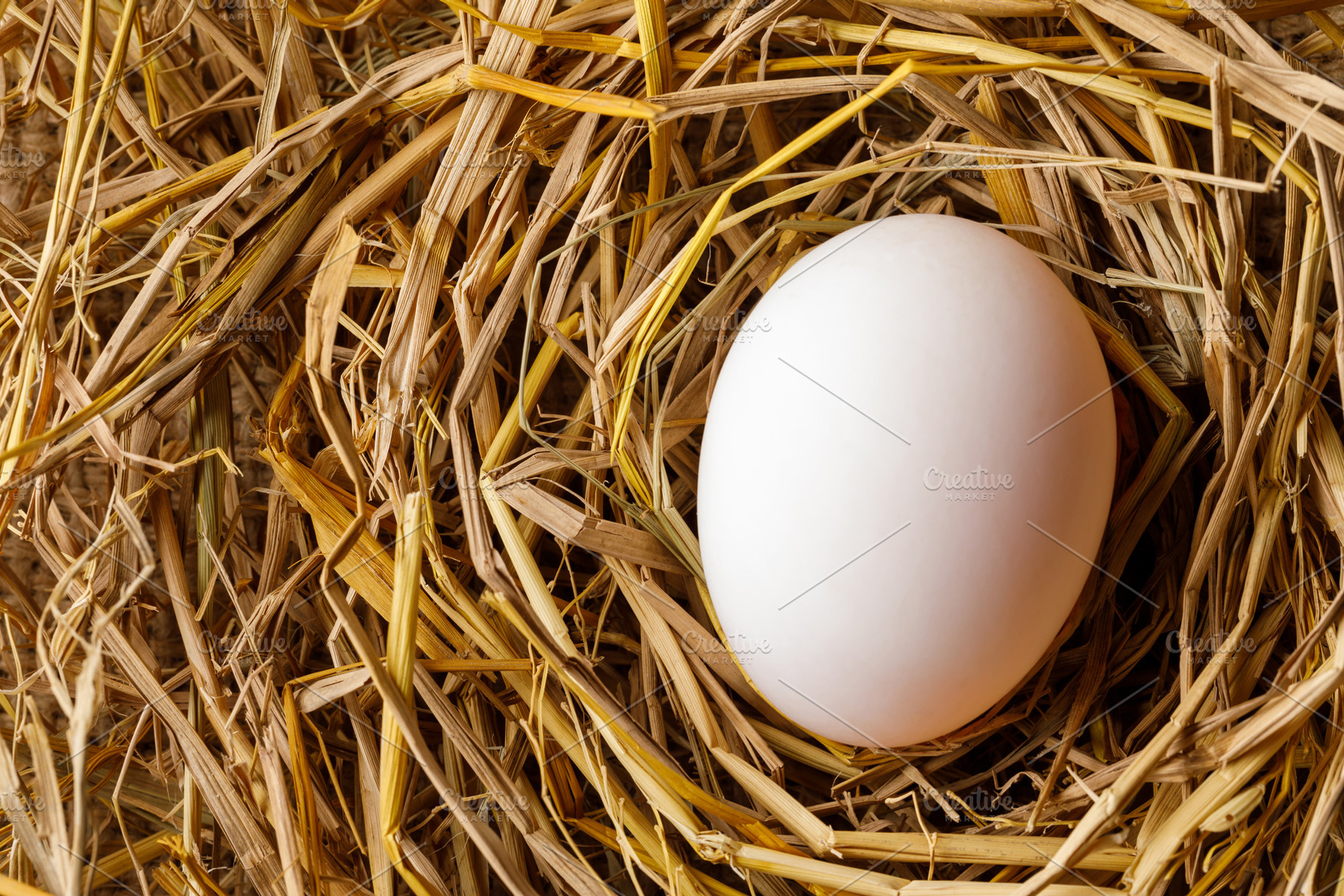 Hen or duck egg on straw, a Photo by Smith Chetanachan