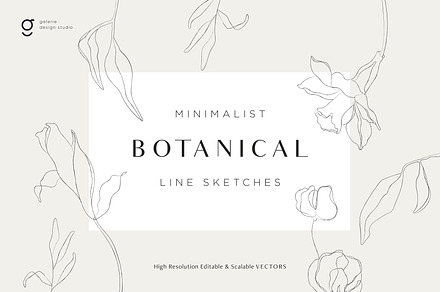 Minimalist Botanical Line Sketches