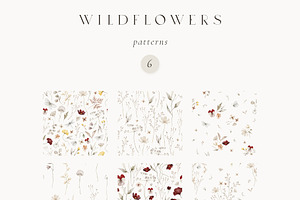 Wildflowers Watercolor Wild Botany