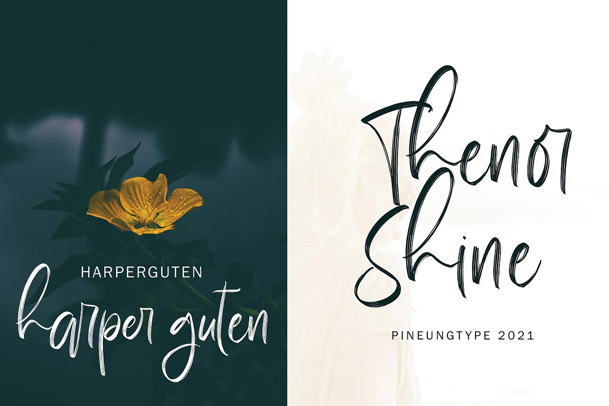 Farihmes, a Script Font by pineungtype (Photo 6 of 8)