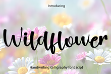 Wildflower