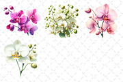Watercolor Orchid Clipart, an Illustration by Dream Creation (Thumbnail 5 of 5)