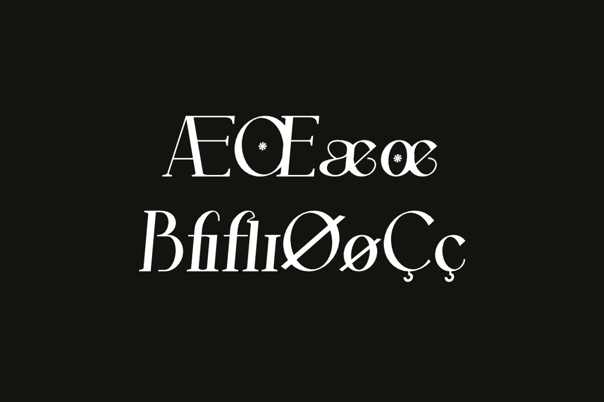 Catgeora - Elegant Serif Font, a Serif Font by QR Design Studio (Photo 8 of 16)