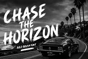Savage Brush Font, a Handwritten Font by cocodesign (Thumbnail 4 of 9)