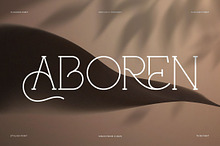 Aboren || Vintage Serif Monoline