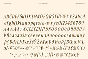 CS Bruna Pixel, a Serif Font by Craft Supply Co. (Thumbnail 8 of 8)