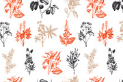 10 Most Poisonous Plants. Vector set, a Healthcare Illustration by Yevheniia (Thumbnail 7 of 8)