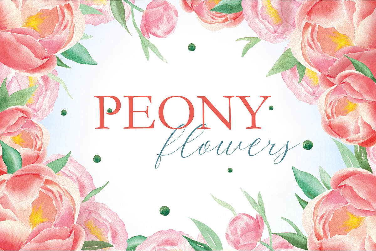 Watercolor peonies, an Object Graphic by Anastasia Timosch (Photo 1 of 9)