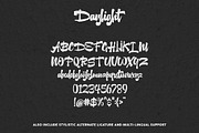 Daylight typeface, a Script Font by HTLNS.co (Thumbnail 5 of 5)