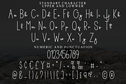 BROTHER vintage, a Handwritten Font by FreshTypeINK (Thumbnail 5 of 8)