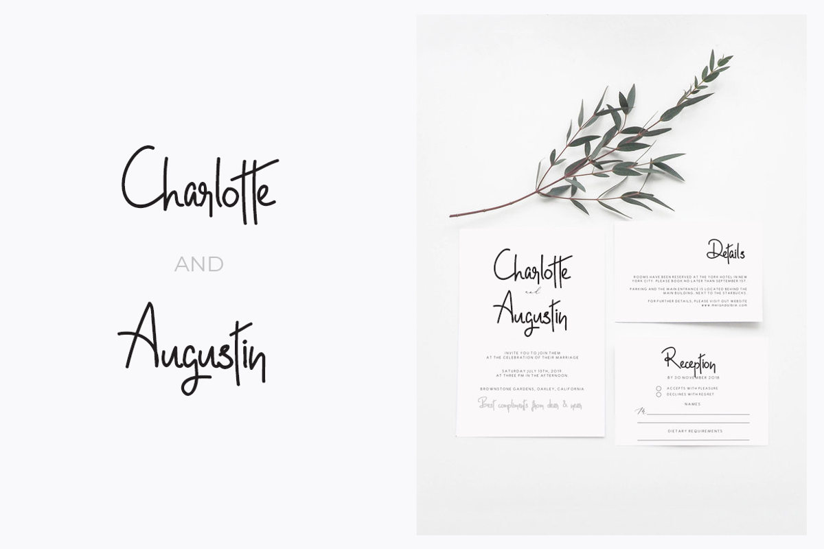 Norletta - Handwritten / Luxury Font preview 6