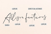 Allison Script, a Script Font by Fenotype (Thumbnail 4 of 9)