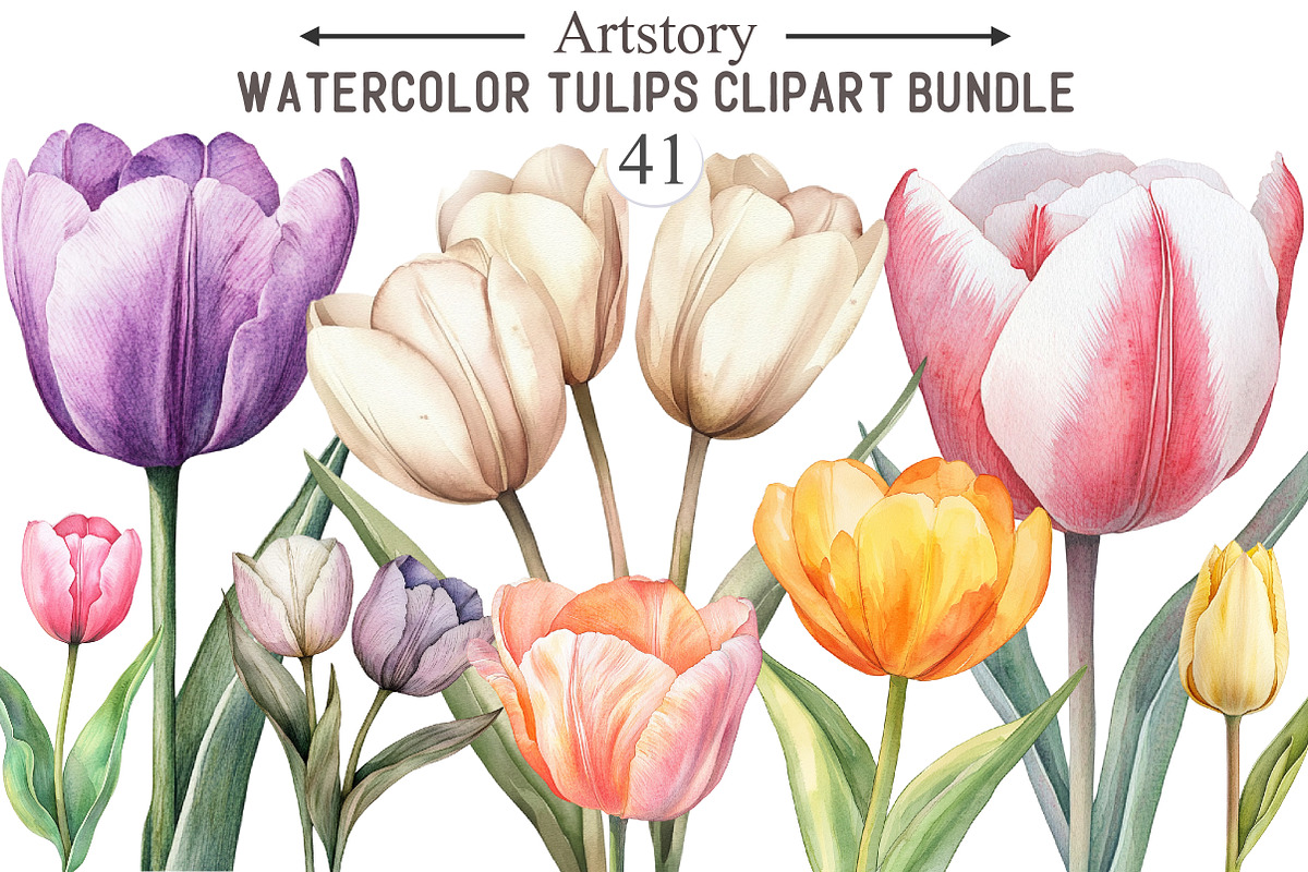 Watercolor Tulips Clipart Bundle, an Illustration by designcity5 (Photo 1 of 5)