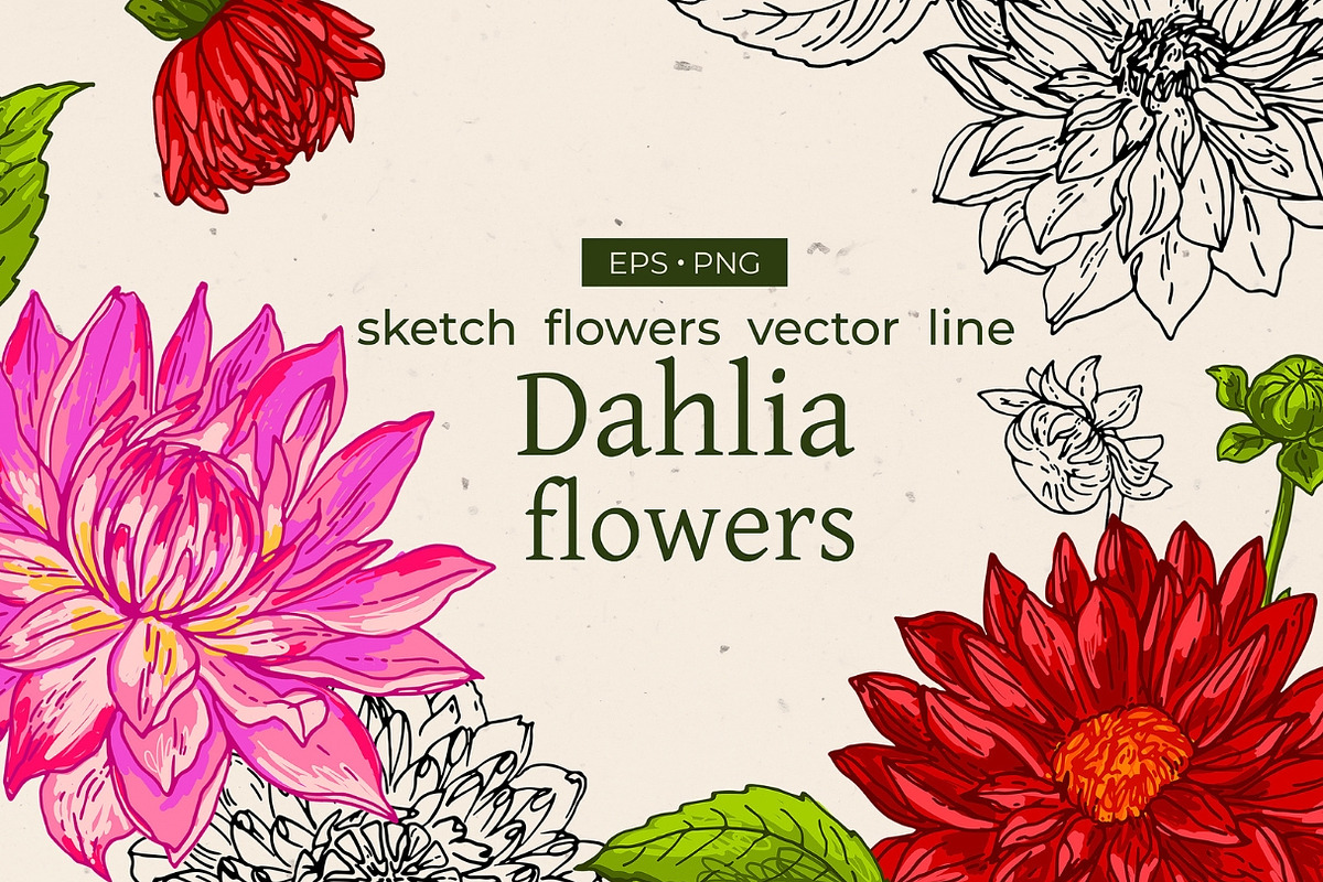 GRAND BUNDLE FLOWERS vector sets 70%, an Object Graphic by irina.vaneeva (Photo 6 of 7)