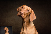 Fine Art Texture 5, a Layer Style Add-On by HappyNews (Thumbnail 2 of 9)