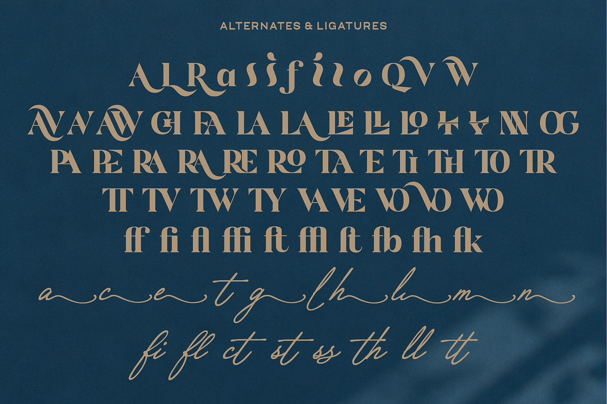 Volavira Font Collection - Font Trio, a Serif Font by Nollev (Photo 11 of 14)