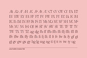 Mollen Fancyla Aesthetic Serif Font, a Serif Font by Imoodev (Thumbnail 5 of 6)
