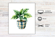 Christmas Houseplants Clipart, an Illustration by Canvas Craft (Thumbnail 8 of 8)