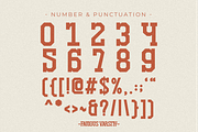 Famous Varsity - Vintage Slab Serif, a Slab Serif Font by Pian45 Studio (Thumbnail 3 of 12)