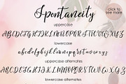 Spontaneity - script font, a Script Font by Astarte_design (Thumbnail 6 of 13)