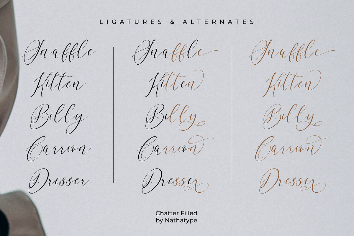 Chatter Filled, a Script Font by Nathatype (Photo 5 of 11)