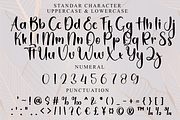 Beach, a Handwritten Font by FreshTypeINK (Thumbnail 4 of 7)