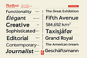 Pluribus - Serif font family, a Serif Font by Artistic & Unique (Thumbnail 5 of 15)