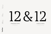 TT Tricks, a Serif Font by TypeType (Thumbnail 2 of 10)