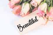 Butterfly | Script Font, a Handwritten Font by Scratchones (Thumbnail 3 of 9)