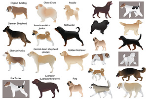 Dog show, an Animal Illustration by Viktoria.1703