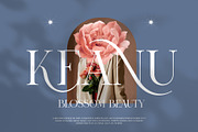 RONICA Modern Display Serif, a Serif Font by Alfinart (Thumbnail 4 of 10)