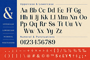 MARQUETRY - Modern Serif Duo, a Serif Font by PaperMoon (Thumbnail 10 of 14)