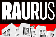 Raurus Condensed Display Family Font, a Sans Serif Font by Pekotype (Thumbnail 1 of 15)