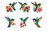 Watercolor Hummingbird Clipart, an Illustration by Libby Wishes (Thumbnail 4 of 4)