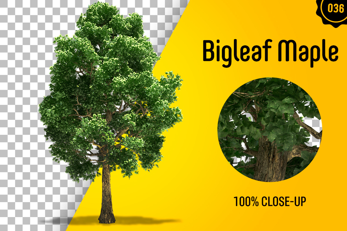CUT OUT TREES - 60 PCS BUNDLE, a Packaging Mockup by 3DSTORE (Photo 37 of 63)