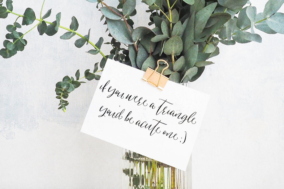Indulgence Script Font Duo preview 5