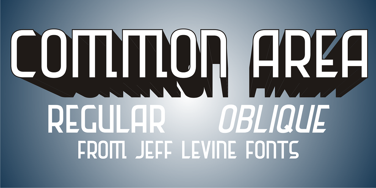 Common Area JNL, a Sans Serif Font by Jeff Levine Fonts