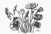 Lotus floral set, a Decorative Illustration by katya.bogina (Thumbnail 4 of 5)