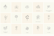 Botanical Hand Drawn Designs, Logos, a Seasonal Illustration by Designwork (Thumbnail 8 of 22)