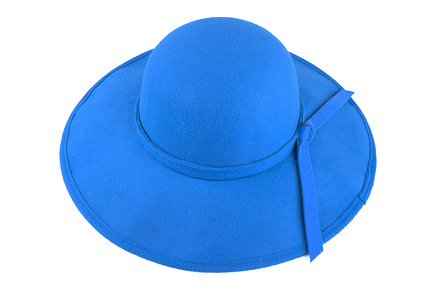 Pretty hat with bow containing accessory, bloom, and blossom