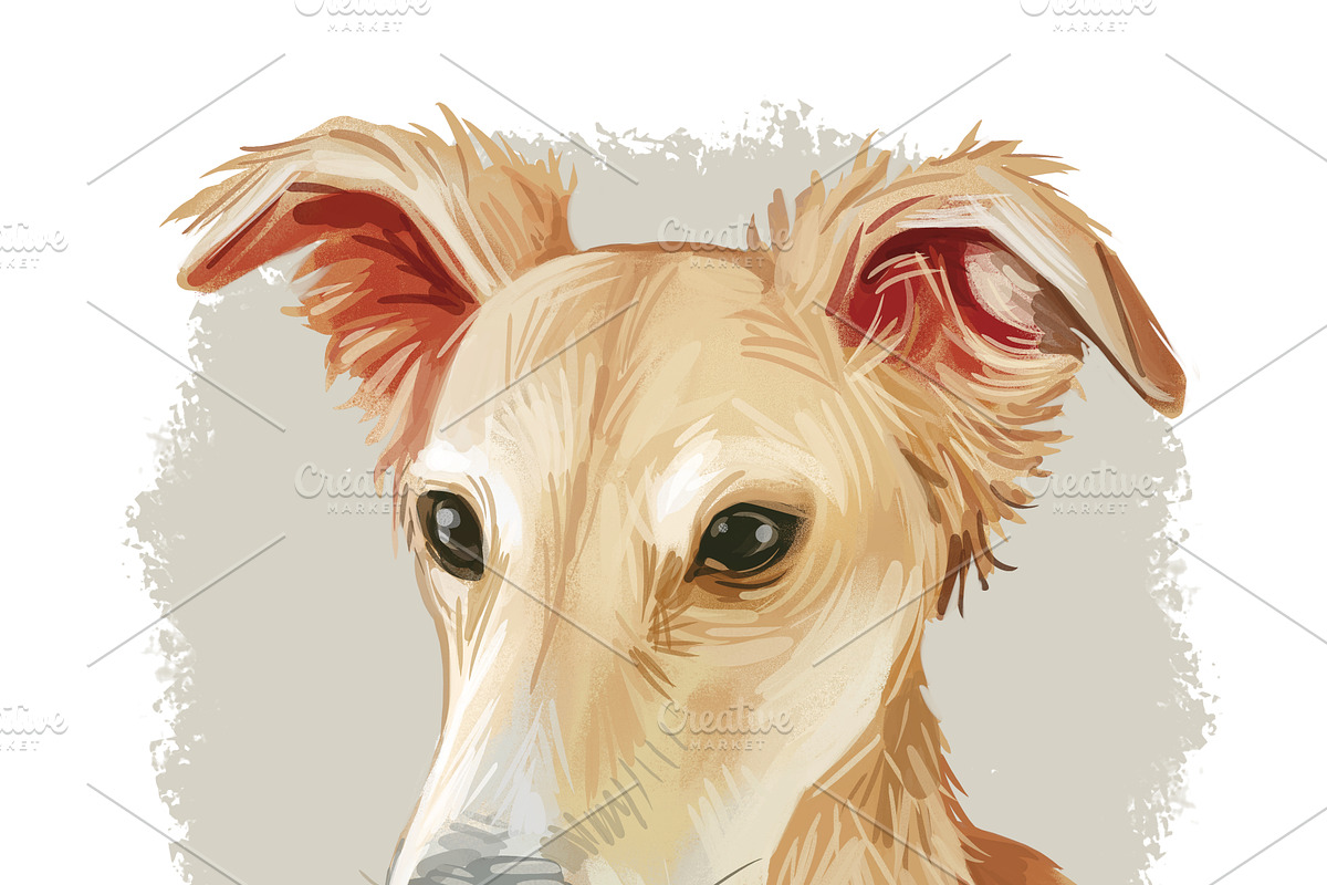 Most Popular Dog Breeds Pet Portrait, an Animal Illustration by Dneprstock (Photo 18 of 23)