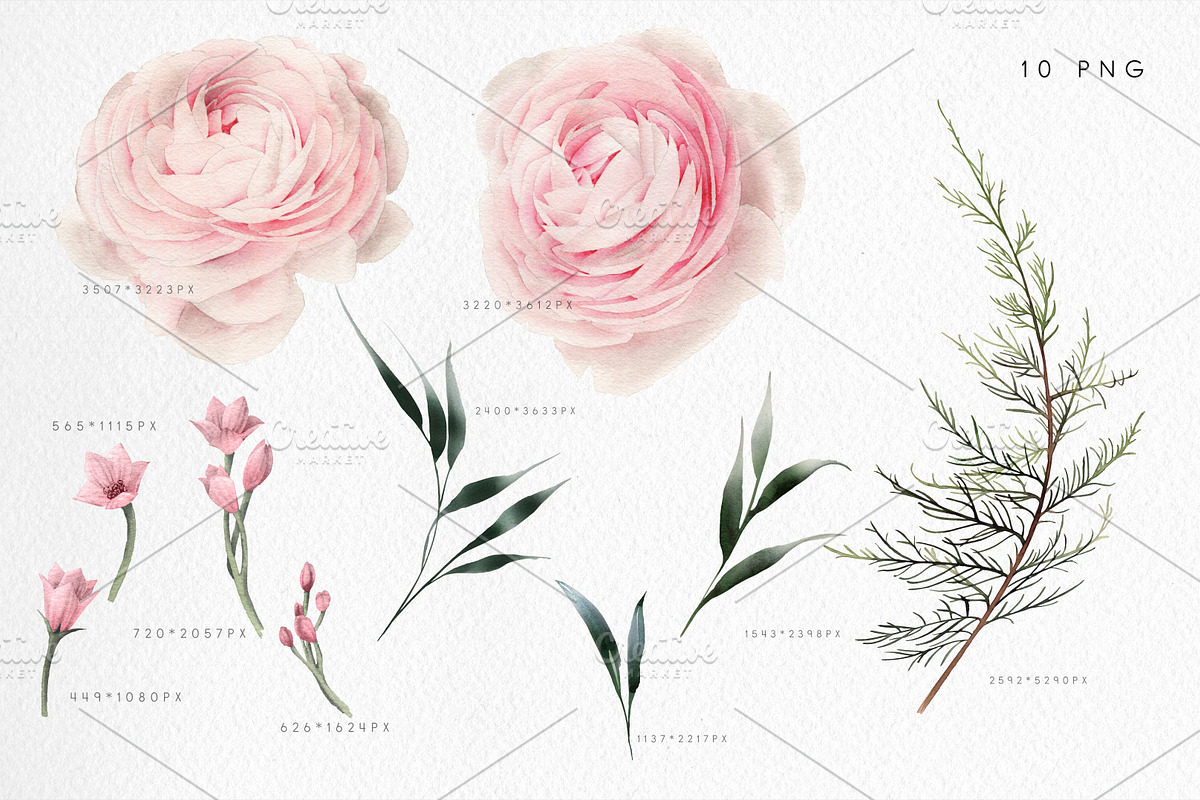 Watercolor flowers clipart (PNG), a Texture Illustration by ollalya (Photo 2 of 9)