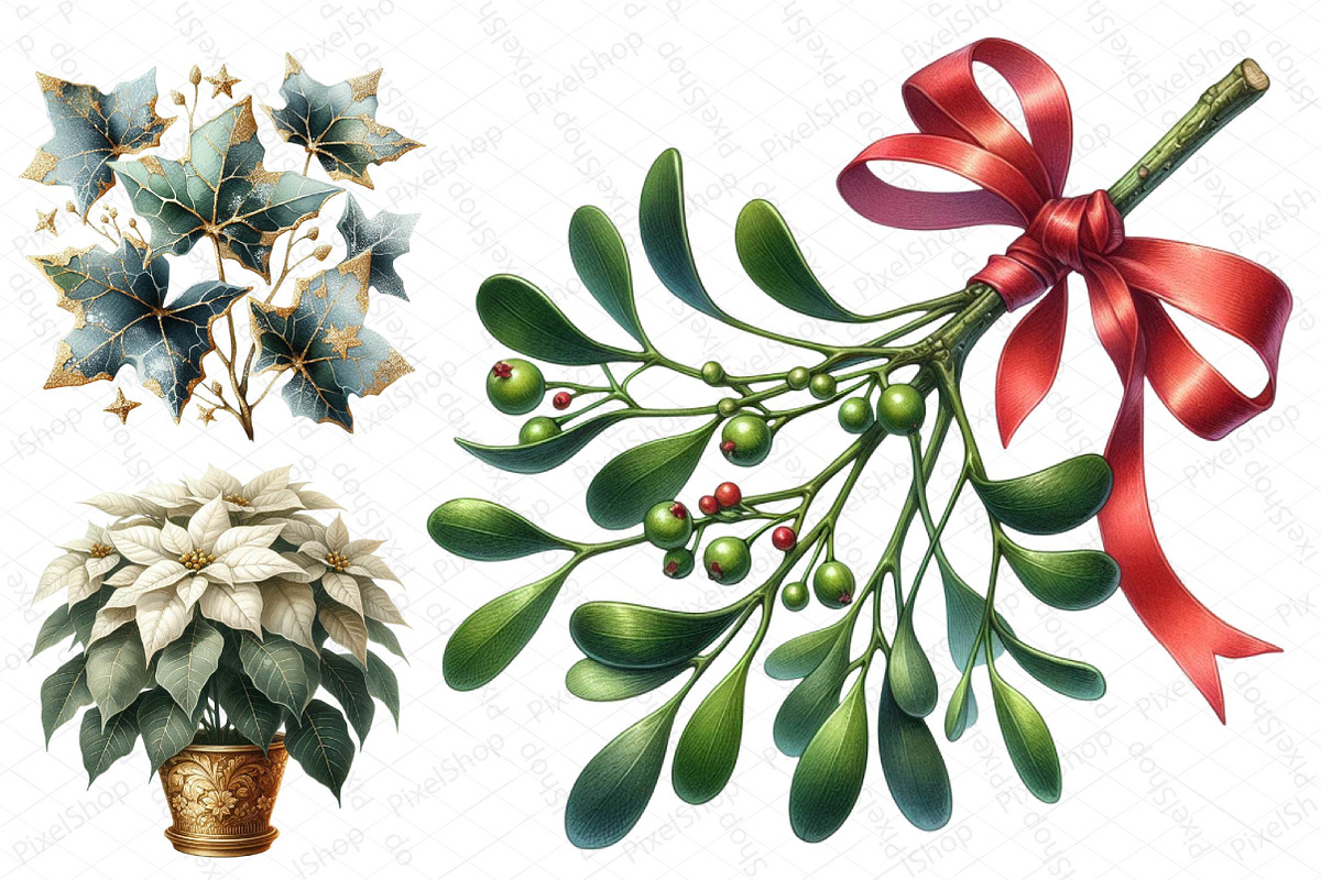 Christmas Garden Watercolor Clipart, an Illustration by DreamPrint404 (Photo 4 of 5)