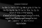 Cyendra || Modern Stylish Serif Font, a Serif Font by Ermedia Studio (Thumbnail 4 of 10)