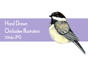 Chickadee Drawing Clip Art, an Illustration by Purple Pony Art (Thumbnail 1 of 2)