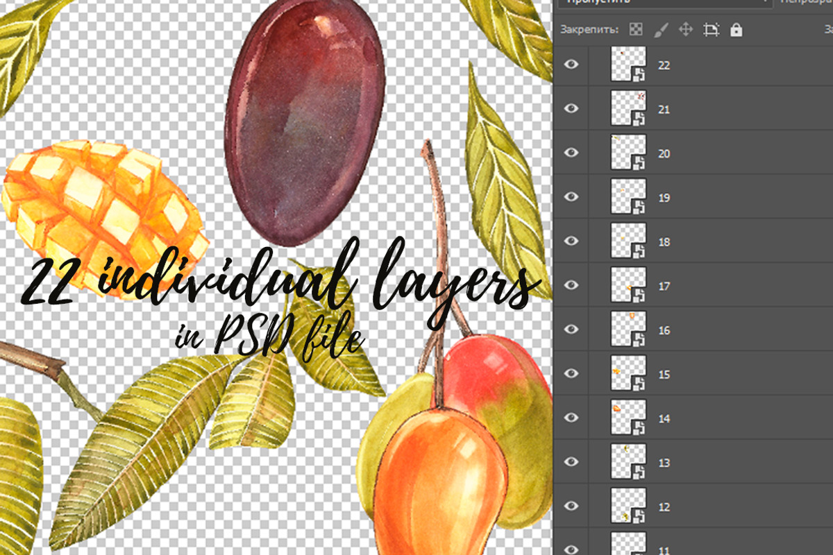 Mango clipart in botanical style, a Food Illustration by Ann Astro (Photo 4 of 10)